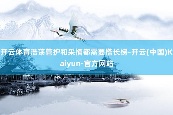 开云体育浩荡管护和采摘都需要搭长梯-开云(中国)Kaiyun·官方网站