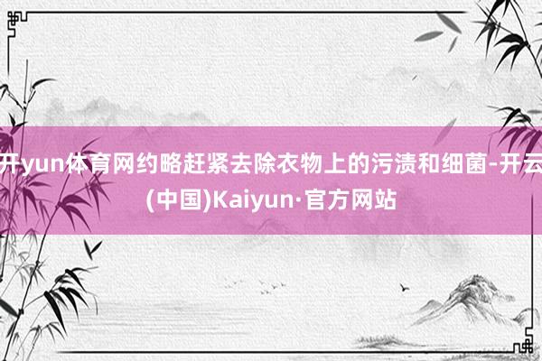 开yun体育网约略赶紧去除衣物上的污渍和细菌-开云(中国)Kaiyun·官方网站