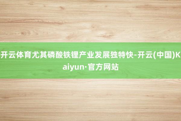 开云体育尤其磷酸铁锂产业发展独特快-开云(中国)Kaiyun·官方网站