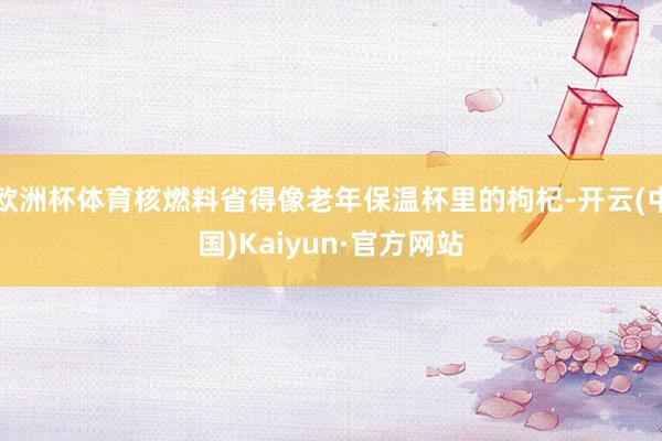 欧洲杯体育核燃料省得像老年保温杯里的枸杞-开云(中国)Kaiyun·官方网站