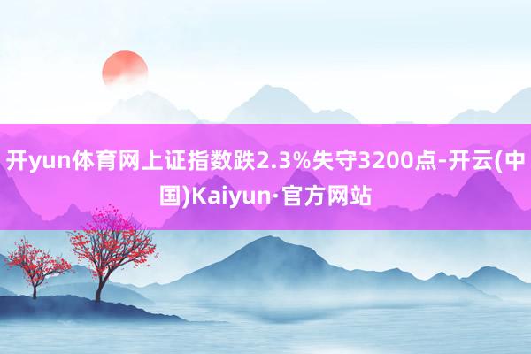 开yun体育网上证指数跌2.3%失守3200点-开云(中国)Kaiyun·官方网站