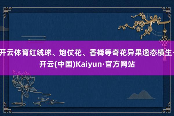 开云体育红绒球、炮仗花、香橼等奇花异果逸态横生-开云(中国)Kaiyun·官方网站