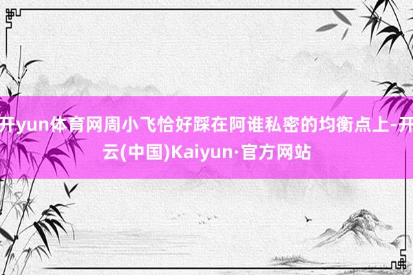 开yun体育网周小飞恰好踩在阿谁私密的均衡点上-开云(中国)Kaiyun·官方网站