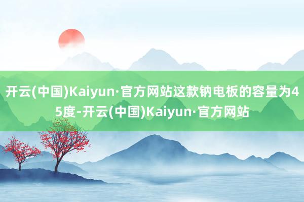 开云(中国)Kaiyun·官方网站这款钠电板的容量为45度-开云(中国)Kaiyun·官方网站