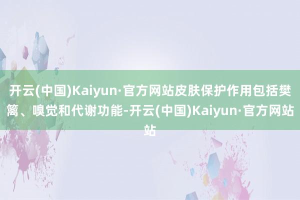 开云(中国)Kaiyun·官方网站皮肤保护作用包括樊篱、嗅觉和代谢功能-开云(中国)Kaiyun·官方网站