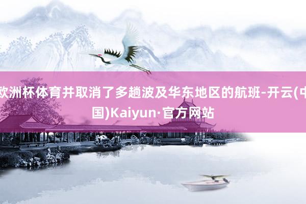 欧洲杯体育并取消了多趟波及华东地区的航班-开云(中国)Kaiyun·官方网站