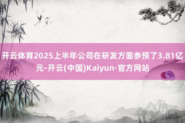 开云体育2025上半年公司在研发方面参预了3.81亿元-开云(中国)Kaiyun·官方网站