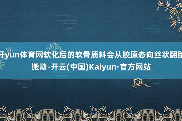 开yun体育网软化后的软骨质料会从胶原态向丝状翻脸搬动-开云(中国)Kaiyun·官方网站