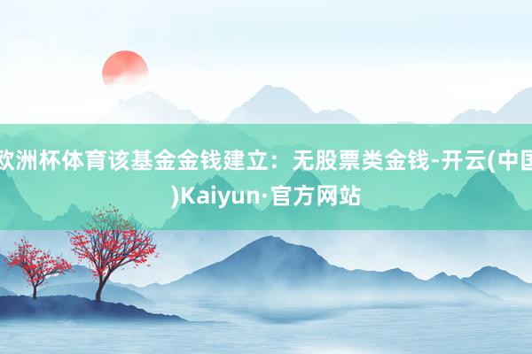 欧洲杯体育该基金金钱建立：无股票类金钱-开云(中国)Kaiyun·官方网站