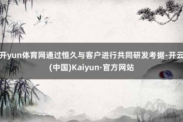 开yun体育网通过恒久与客户进行共同研发考据-开云(中国)Kaiyun·官方网站