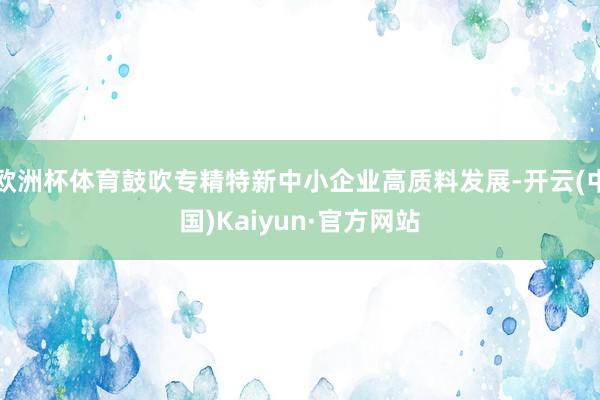 欧洲杯体育鼓吹专精特新中小企业高质料发展-开云(中国)Kaiyun·官方网站