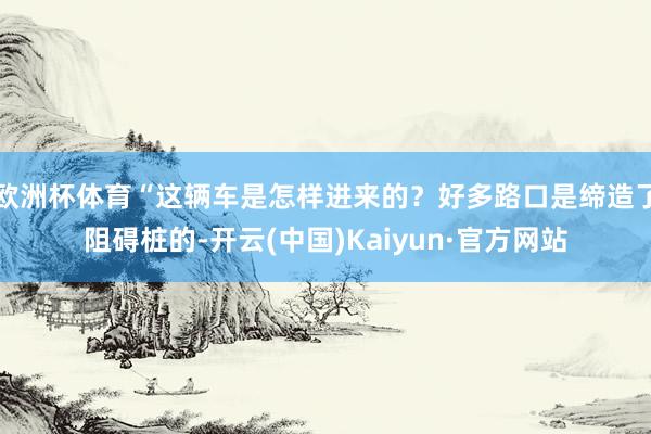 欧洲杯体育“这辆车是怎样进来的？好多路口是缔造了阻碍桩的-开云(中国)Kaiyun·官方网站