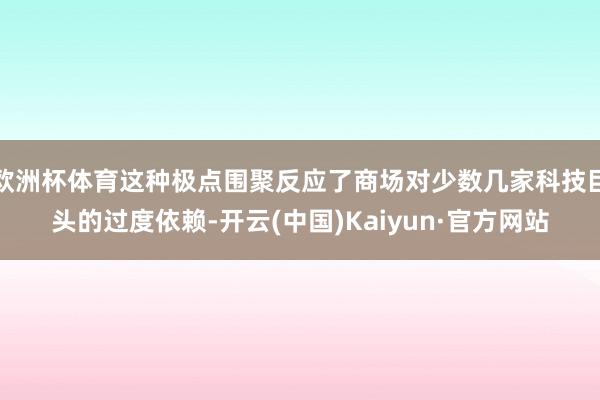 欧洲杯体育这种极点围聚反应了商场对少数几家科技巨头的过度依赖-开云(中国)Kaiyun·官方网站