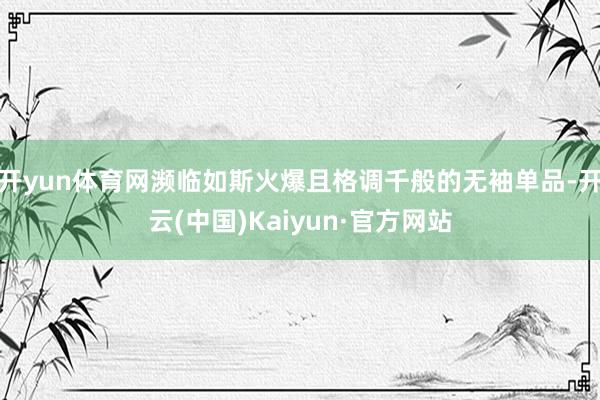 开yun体育网濒临如斯火爆且格调千般的无袖单品-开云(中国)Kaiyun·官方网站
